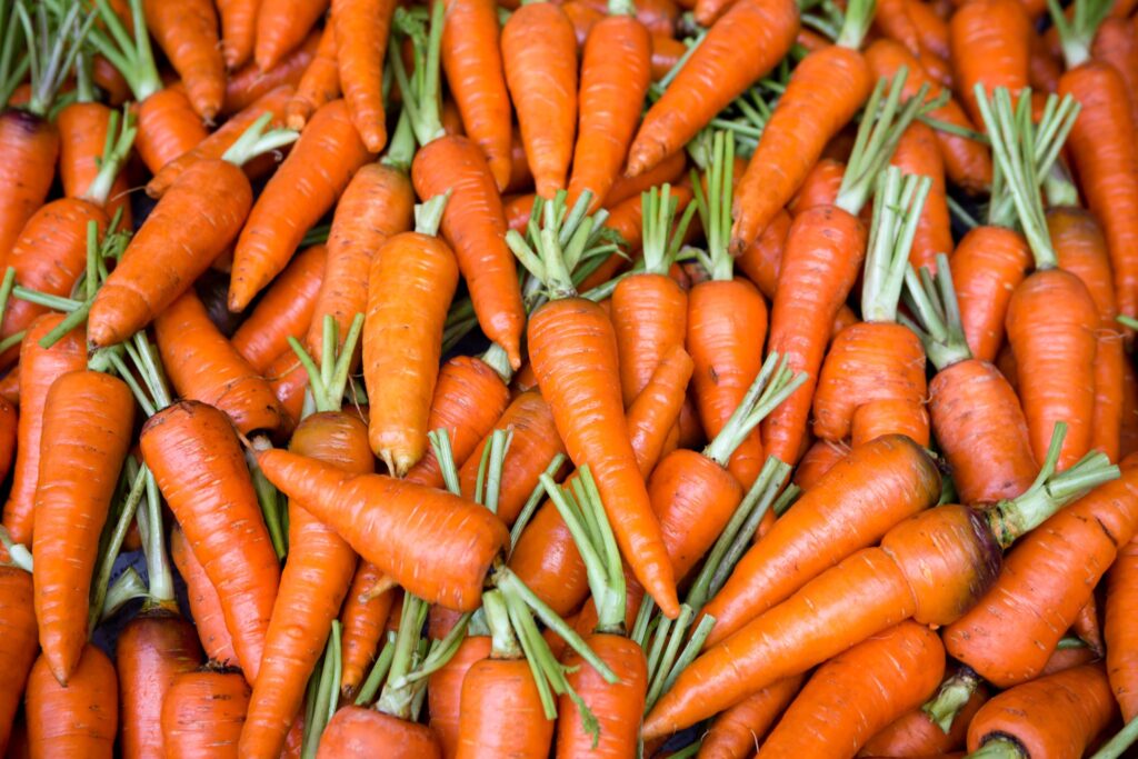 the science behind carrots and eye health